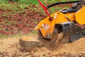 Best Tree and Shrub Care  in Graton, CA